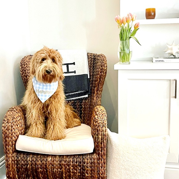 Meet your Posher, Megan Kent - Picture 2 of 2